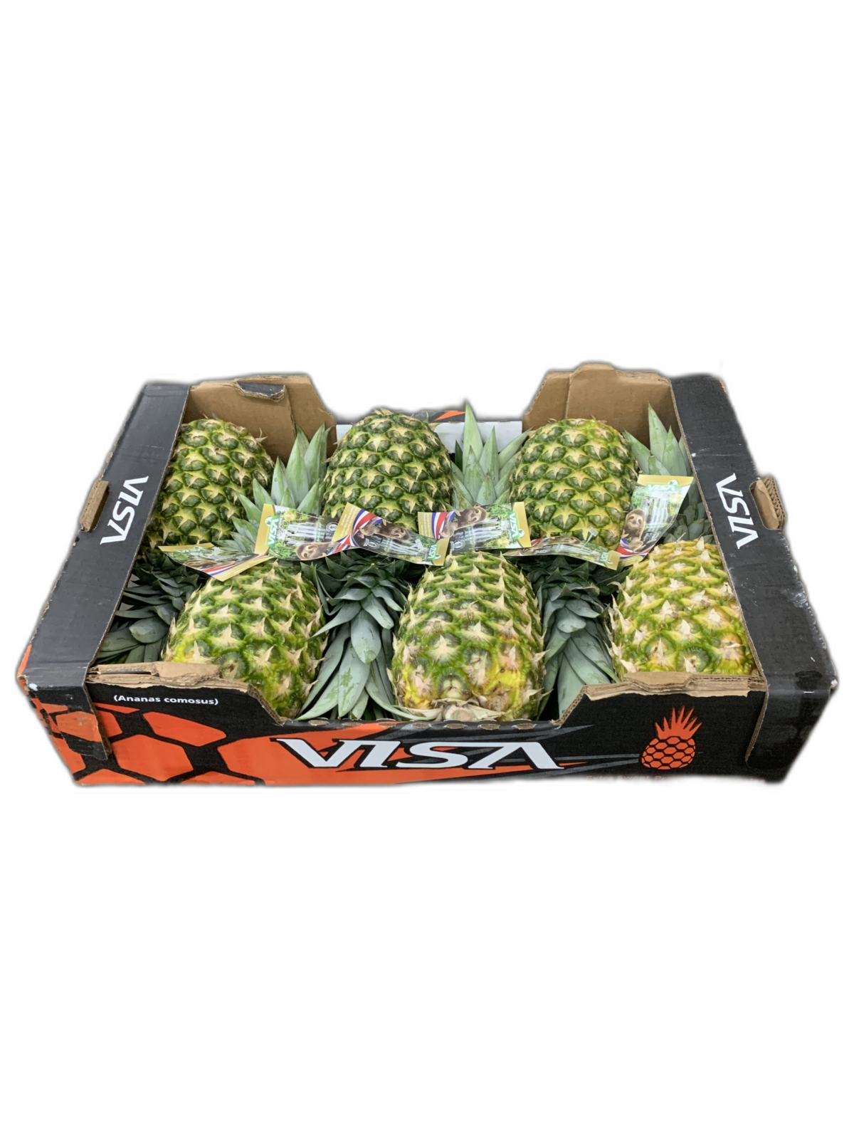 Ananas Visa 6er